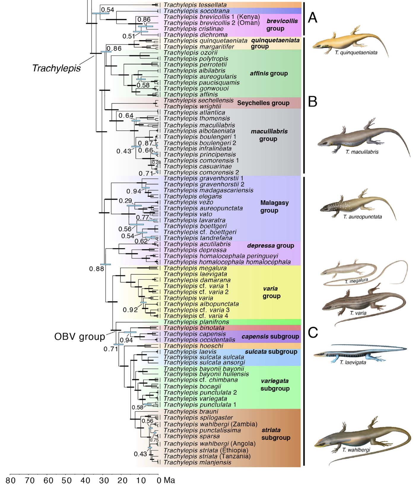 Weinell.et.al.2019b.preview.png